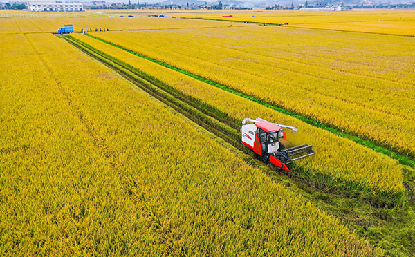 ���ִ�������ũҵ��Ŀ�����Ч