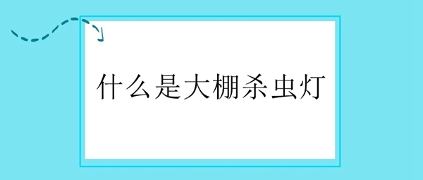 ʲôÊÇ´óÅïɱ³æµÆ