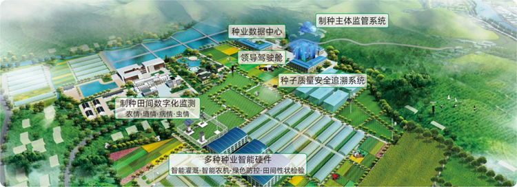 ÐÅÏ¢»¯ÖÖÒµ»ùµØ