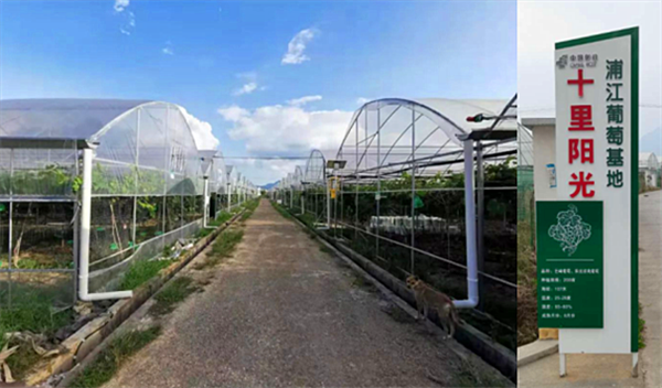 ½ð»ªÆÖ½¡°³¬¼¶Å©³¡¡±