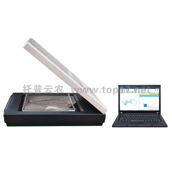 植物根系分析仪