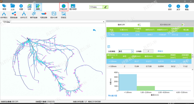 根系分析仪软件分析界面