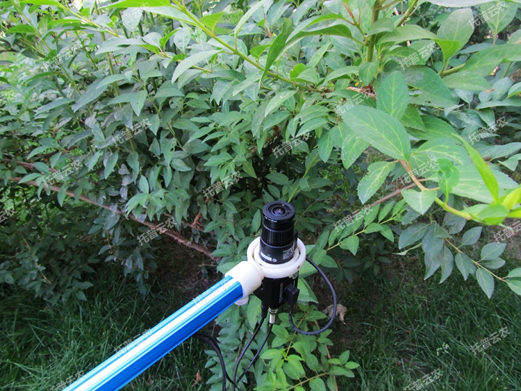 Ö²Îï¹Ú²ãͼÏñ·ÖÎöÒÇ