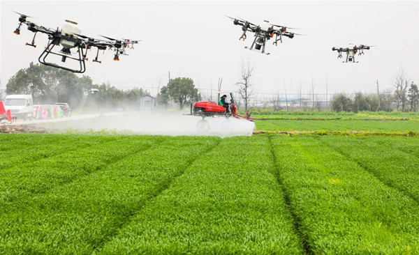 Äþ²¨º£Êï¹ÅÁÖÊý×Ö´óÌï