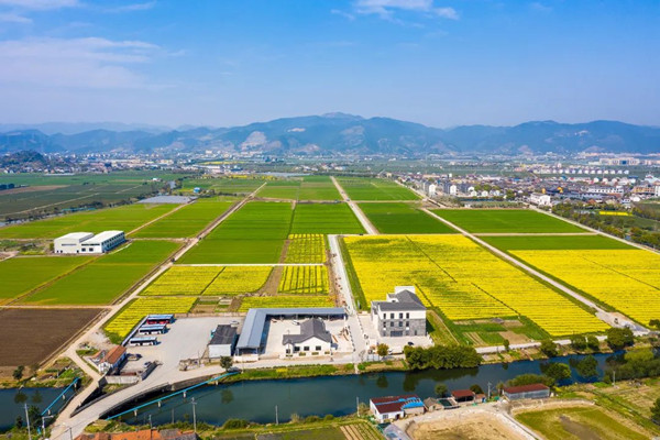 Äþ²¨º£Êï¹ÅÁÖÊý×Ö´óÌï