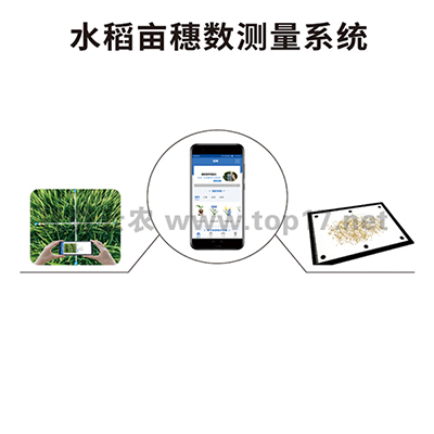 水稻亩穗数测量系统 TPDS-1/TPDS-2