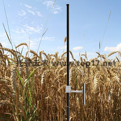 СÂóÖê¸ß²âÁ¿