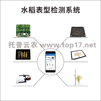 Ë®µ¾±íÐͼì²âϵͳ TPS-BX-1