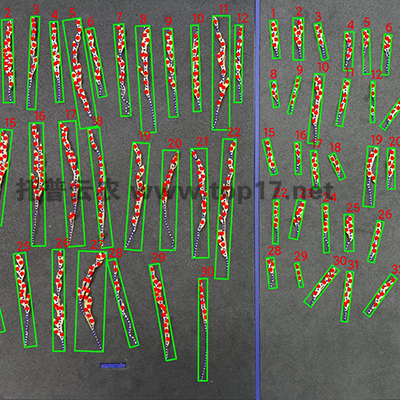 Ë®µ¾ÕûË뿼ÖÖϵͳ