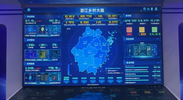 �㽭������