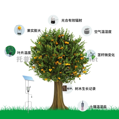 Ö²ÎïÉúÀíÉú̬¼à²âϵͳ