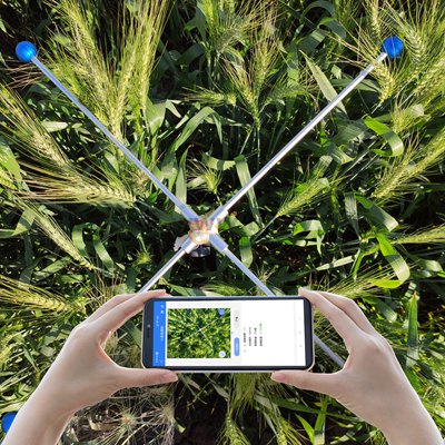 小麦亩穗数测量系统