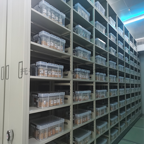 ÖÖÖÊ×ÊÔ´¸´·Ý³¤ÆÚ¿â ¶¨ÖÆ