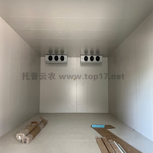 ˫ʮÎå¸ÉÔï¼ä ¶¨ÖÆ