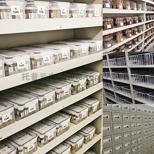 ÖÖÖÊ×ÊÔ´´æÖü¼Ü