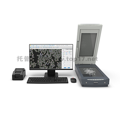 ´óÃ×Íâ¹ÛÆ·Öʼì²âÒÇ