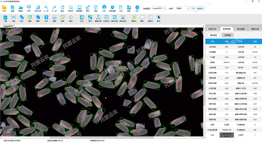 Á£ÐÍÕûÌåÊý¾Ý