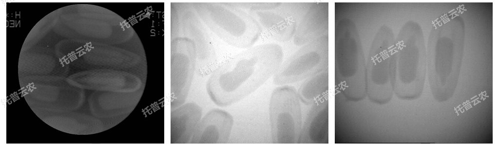 ����ũ��X���/��������X���