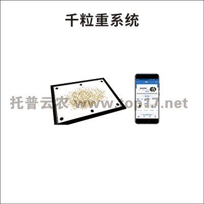 �������Ӽ���ϵͳ 