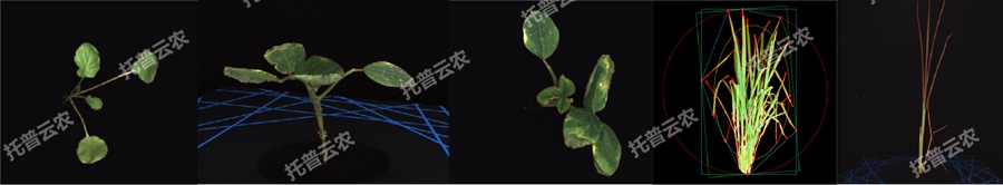 Äæ¾³Ä£Äâ¼°Ö²ÎïÉú³¤¼à²âƽ̨-2ά