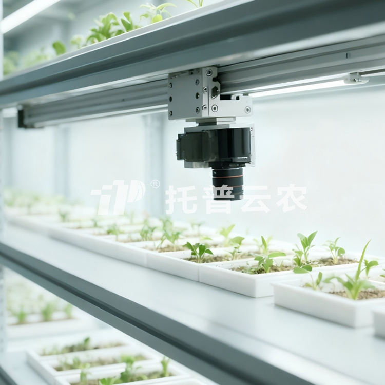 ���������ȷ����ͼ��ϵͳ TPN-SeedPhy