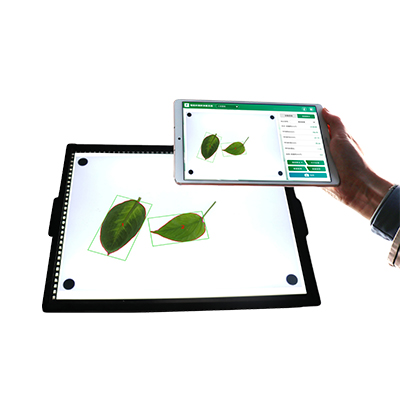 ����ʽҶ��������� YMJ-CHA3