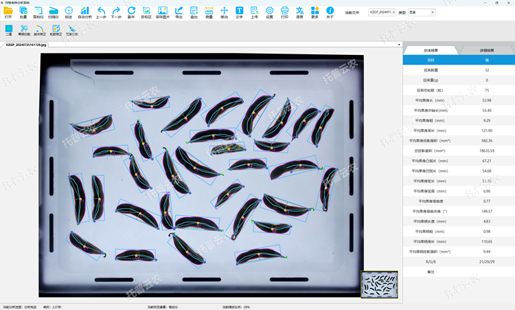 ¶¹¼Ô±íÐͲⶨ ×ܽá¹û