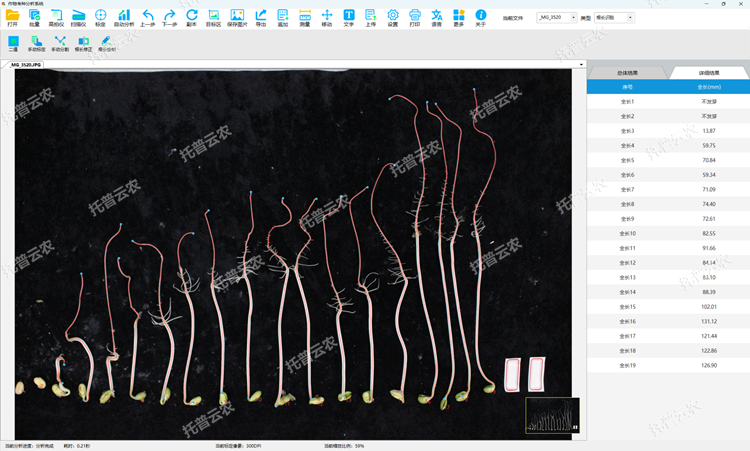 ÖÖ×ÓÃÈ·¢ºÍ¸ùϵ·ÖÎö