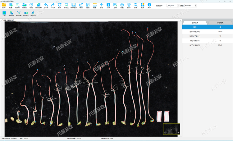 ÖÖ×ÓÃÈ·¢ºÍ¸ùϵ·ÖÎö