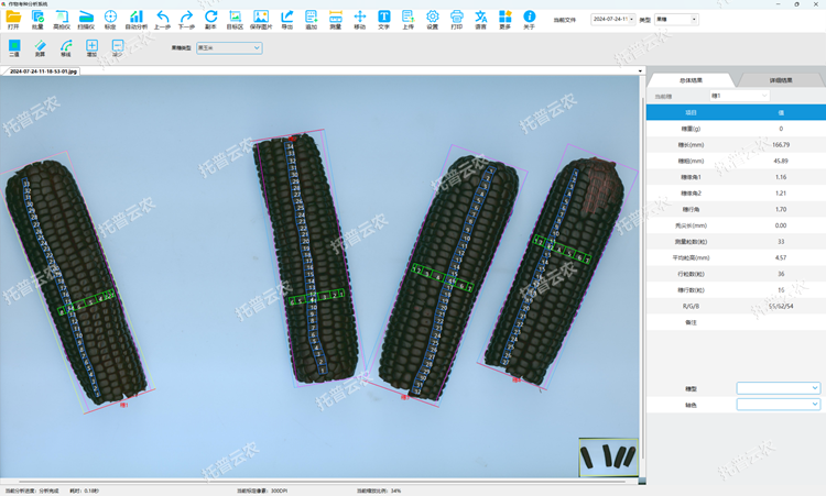 ºÚÓñÃ×¹ûËë²â¶¨