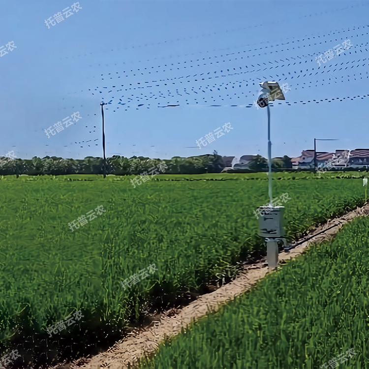 自动赶蛾智能统计杆