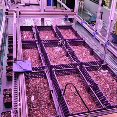 �˹�������ֲ����ͼ��ϵͳ TPN-PlantPhy