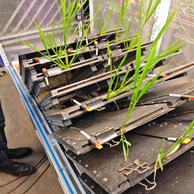 ��ͨ��ֲ���ϵ���Ͳɼ�����ϵͳ������ʽ�� TPN-GXY-GH