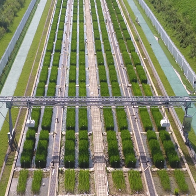 龙门式高通量表型采集分析平台(地轨式) TPN-GTL-GT1